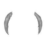 Gray Balding---Gray