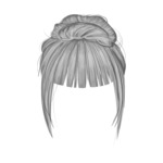 Gray Bun
