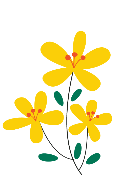 Flower 1