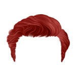 Red hair-9-(12)